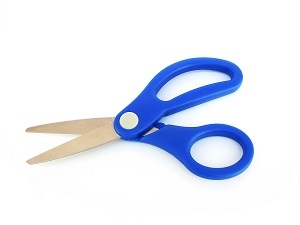 A pair of scissors