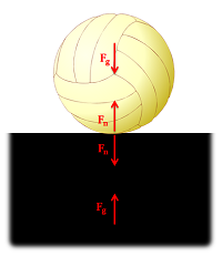 A volleyball resting on a surface